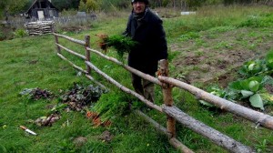 884931_752921684725101_1904690804_o (1)